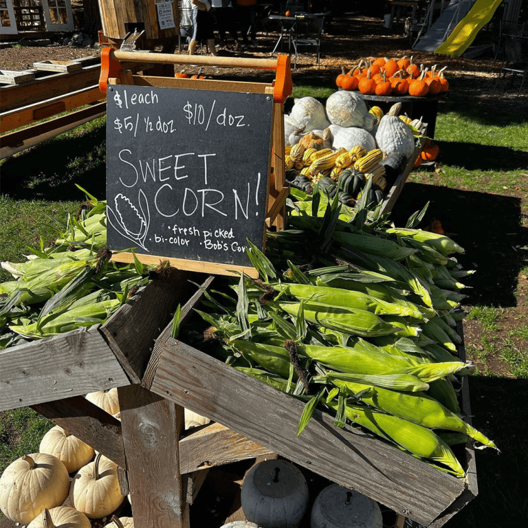 produce stand at Vaughn's Farm